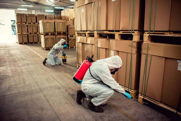  Myrtletown, CA Pest Control Pros
