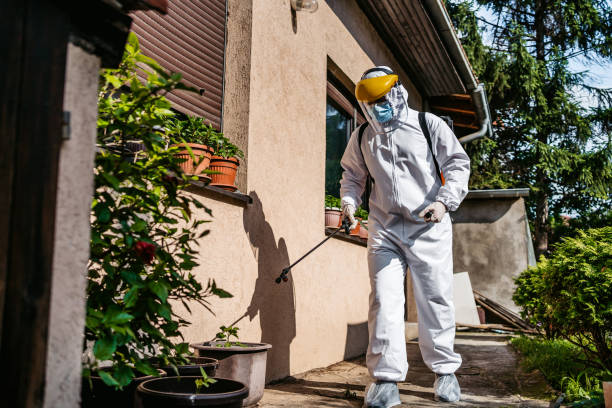 Best Pest Prevention Services  in Myrtletown, CA