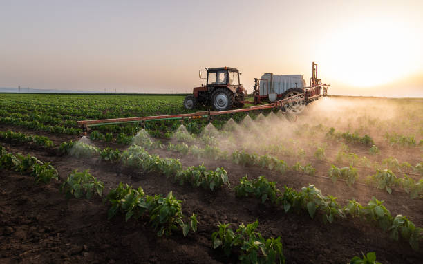 Best Commercial Pest Control Services  in Myrtletown, CA