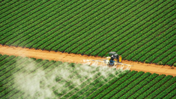 Best Affordable Exterminators  in Myrtletown, CA