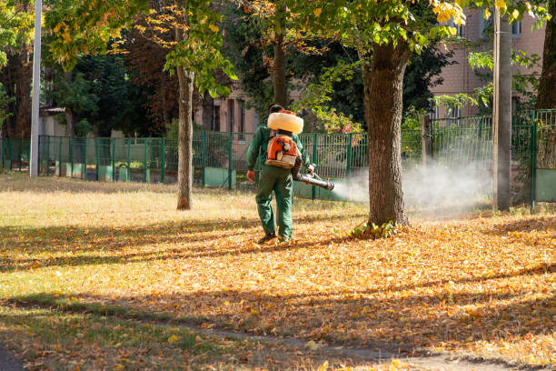 Pest Control Cost in Myrtletown, CA