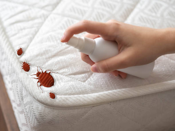 Best Cockroach Control Services  in Myrtletown, CA