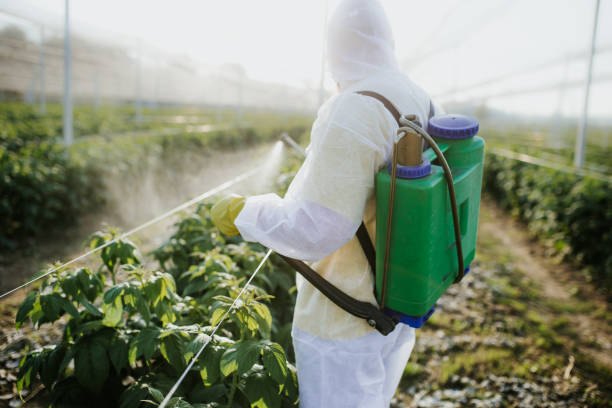 Reliable Myrtletown, CA Pest Control Solutions